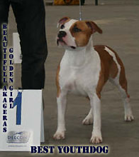 Beautifull Akageras Golden Girl - BEST YOUTHDOG